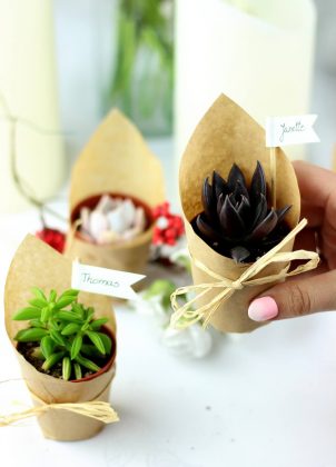 Sukulenty - rośliny jako prezent dla gości weselnych